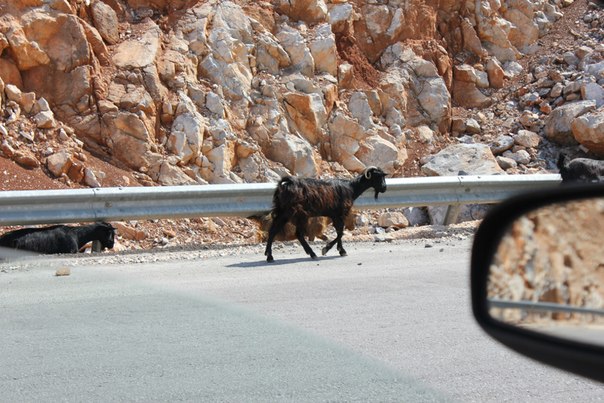 Крит с двойнятами 1,3 г: автотрип + что стоит посетить :)