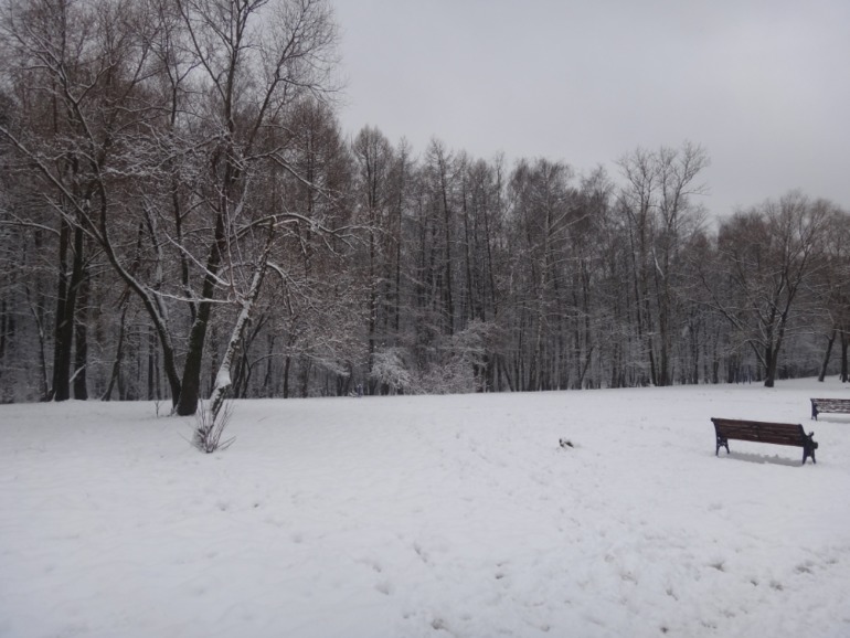прогулочное