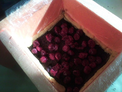 МК сборка торта в коробочку