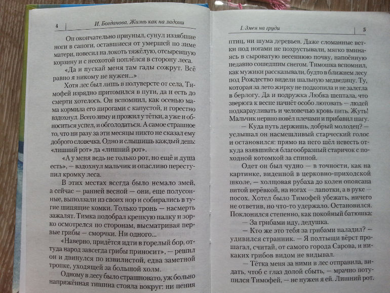 Дневник читателя за этот учебный год. 12 лет.