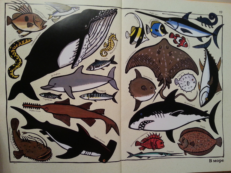 Такие разные животные. Жоэль Жоливе