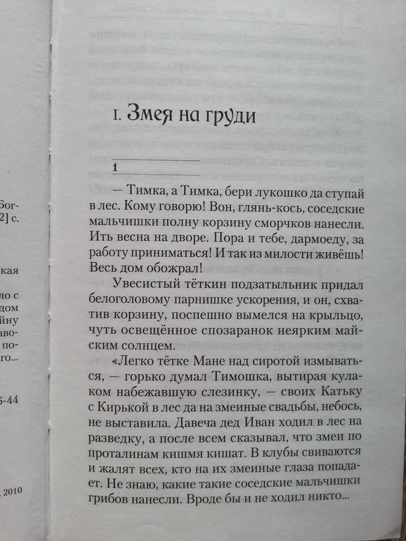 Дневник читателя за этот учебный год. 12 лет.