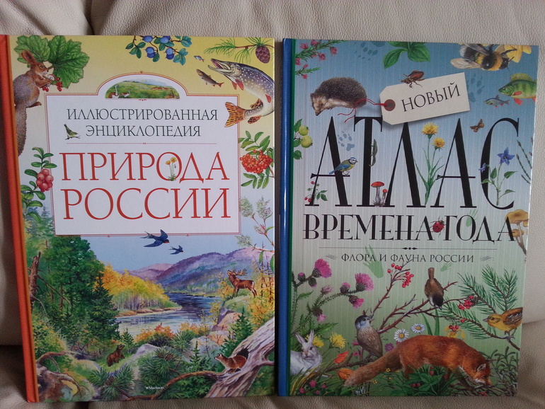 Воз и маленькая тележка! Часть 1.