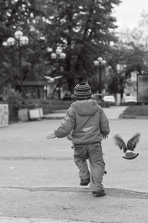Наше сибирское лето .