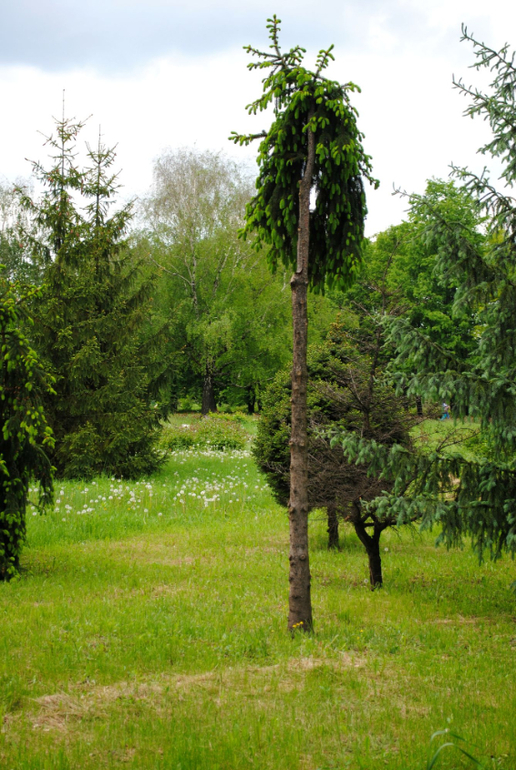 вЯясна пришла)))