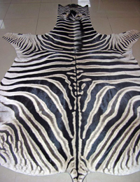 Психологический тест Роршаха.