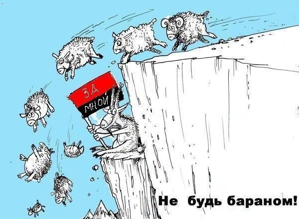 немного картинок))