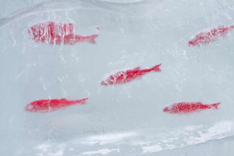 ДР, НГ, Плетена ЛЕД- отчет за 3-3,1