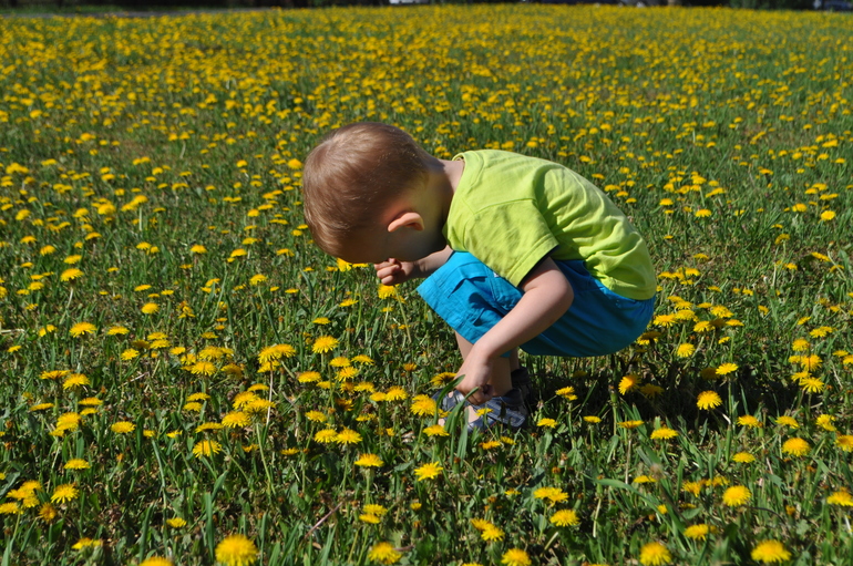 Говори не переговори :) 2,5