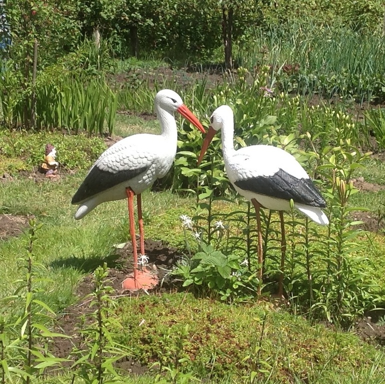 На удачу! Пусть мой крио будет победным!!!