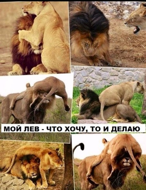 Ахаха))))