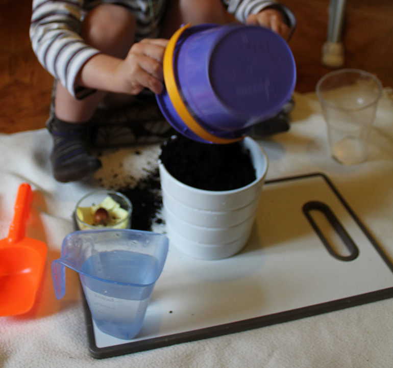 Как мы сажали желудь.