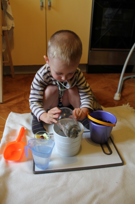 Как мы сажали желудь.