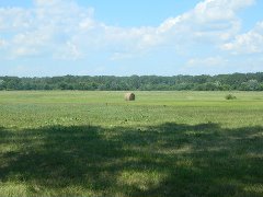 Продается дом с участком в Тамбовской области.