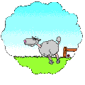 b61f343c47d5b3a417eb1d80c8bd8b49.gif
