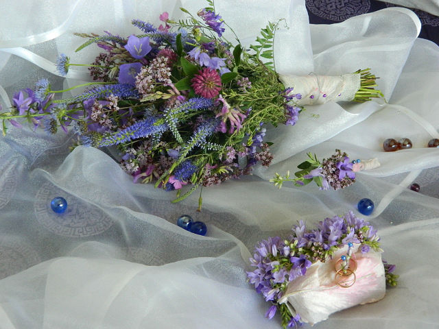 Моя флористика. Много фото.