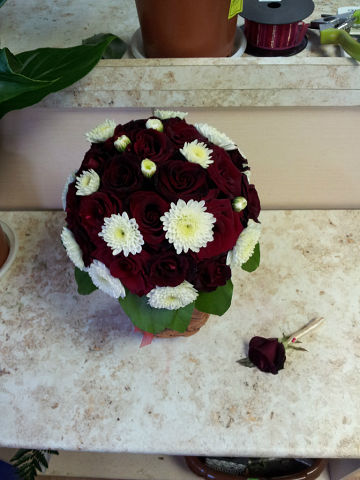 Моя флористика. Много фото.