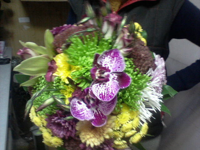 Моя флористика. Много фото.