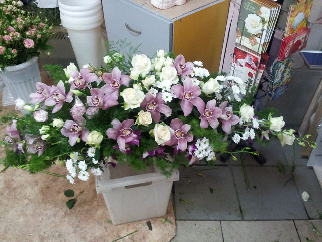 Моя флористика. Много фото.