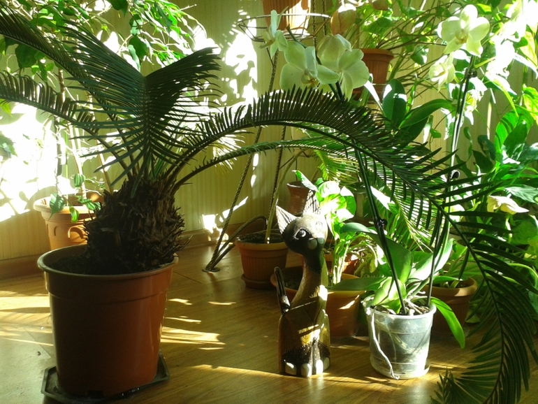 Всё радуется жизни