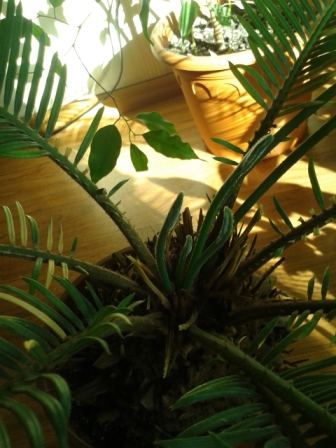 Всё радуется жизни