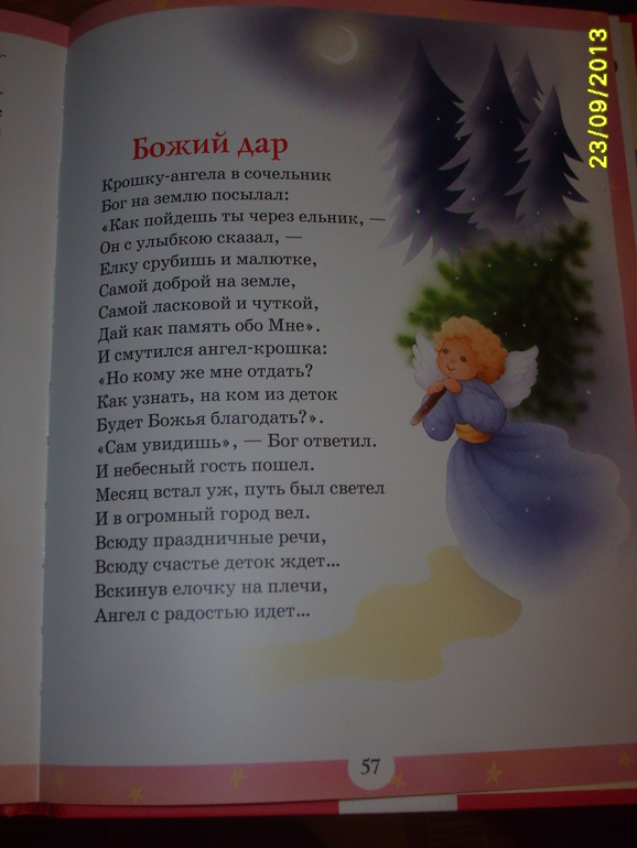 Мои запасы