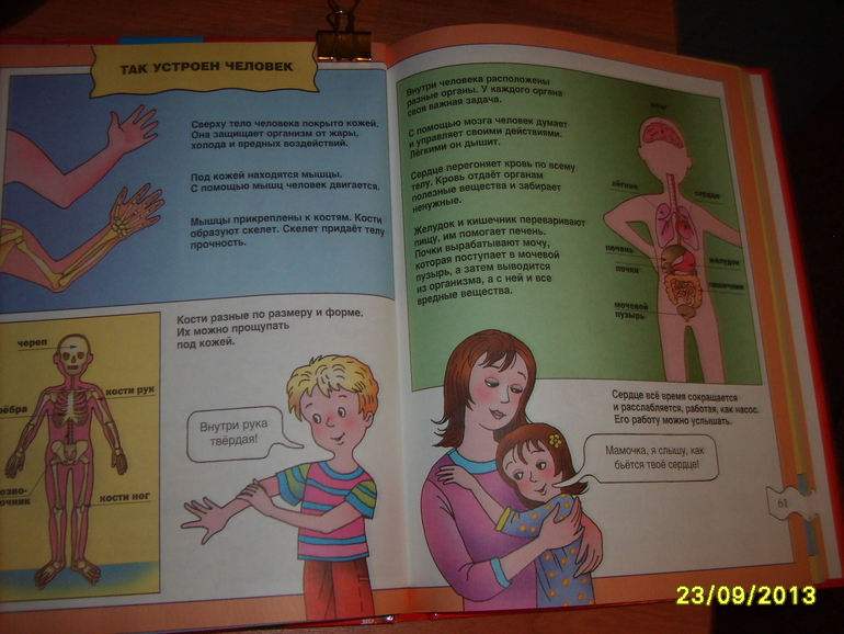 Мои запасы