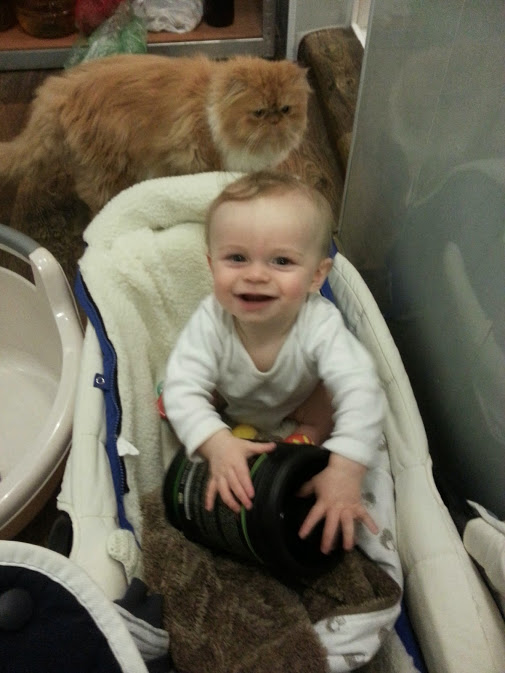 Без недели 6 месяцев