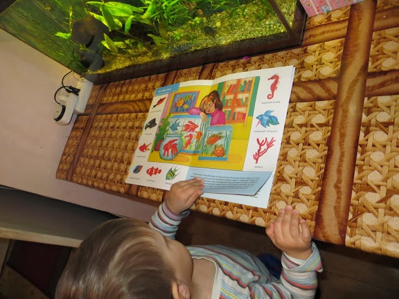 ТН Море. День 2 Рыбы