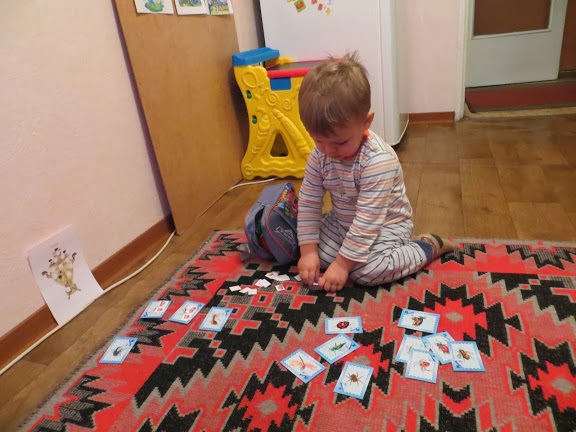 ТЗ Муха цокотуха