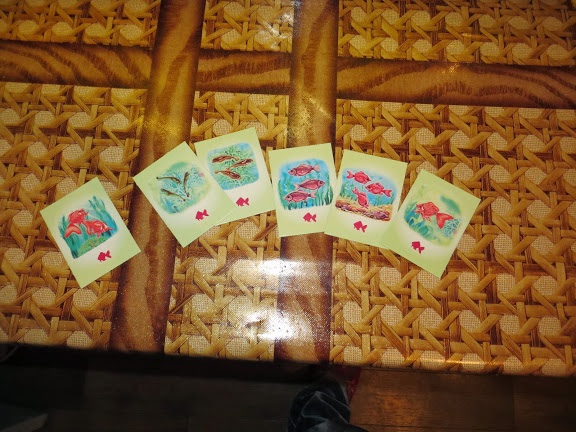 ТН Море. День 2 Рыбы