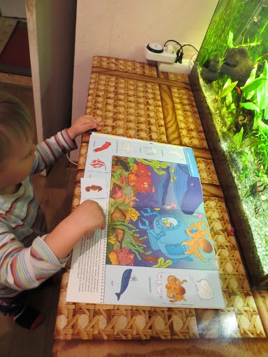 ТН Море. День 2 Рыбы