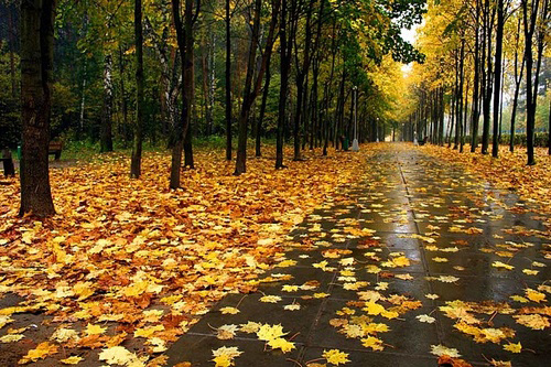 Сказочные места, в которых бываю в мечтах)))