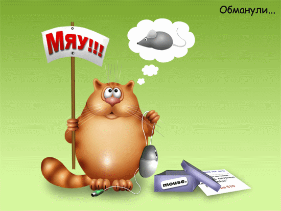 милые котейки)))