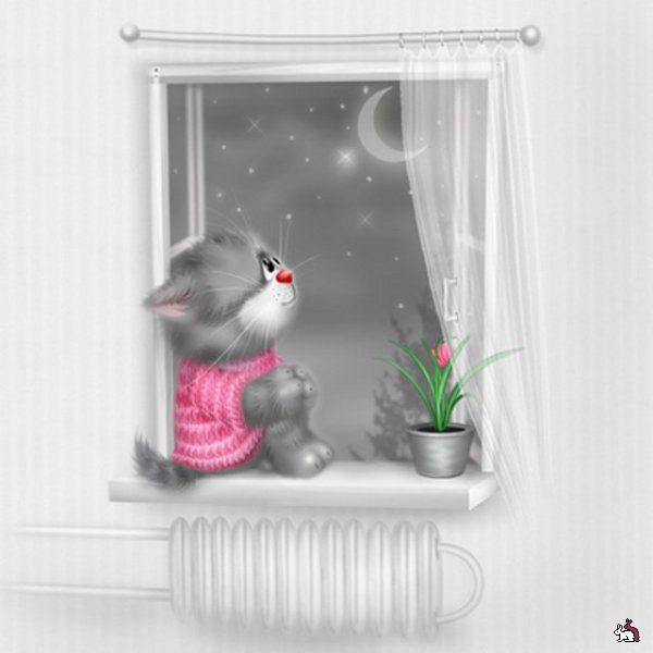 милые котейки)))