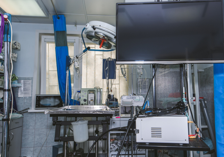 здесь рождение котенка