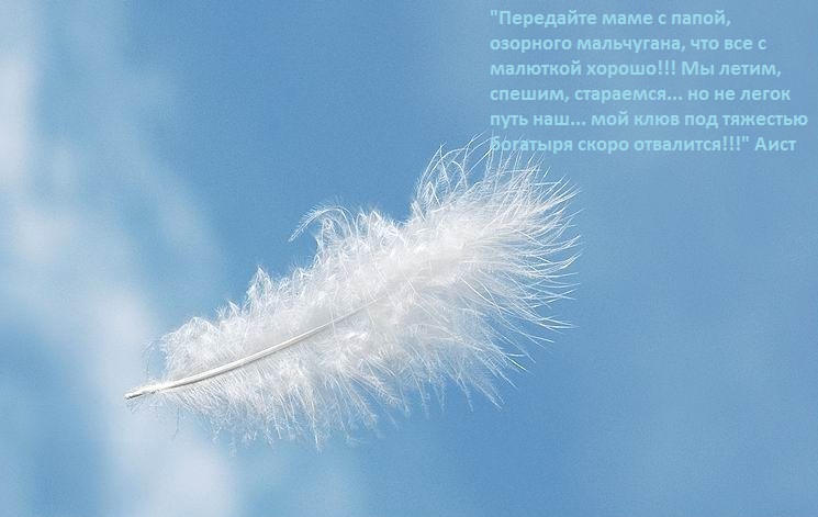 Ноябрьский талисманчик от Айриди