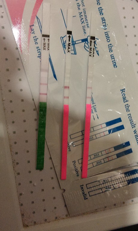 девочки, это она??? неужели я ее поймала?