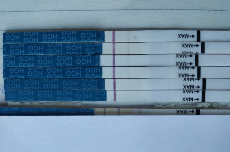 Тест динамика. 10 ДПО эвитест динамика. ДПО беременность динамика тестов. Динамика тестов на беременность эвитест по дням. Эви тесты динамика 10 ДПО.