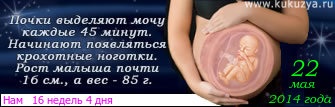 Наша линеечка