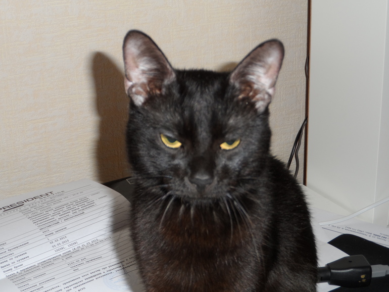 Наши игрухи