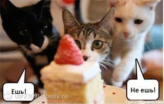 Похудение... оно такое.. похудение : ))))) Юмор :-)