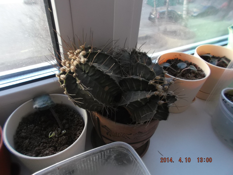 И я своих покажу)