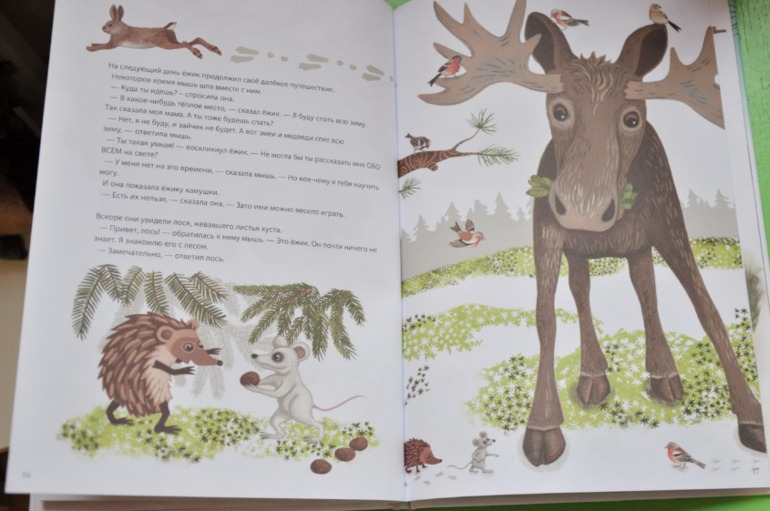 Ежик покидает дом