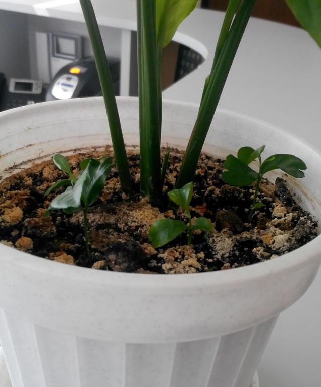 Посоветуйте новичку))