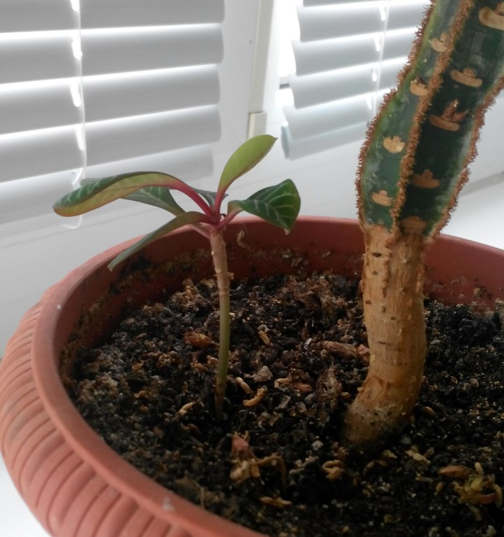 Посоветуйте новичку))