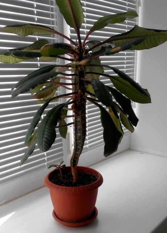 Посоветуйте новичку))