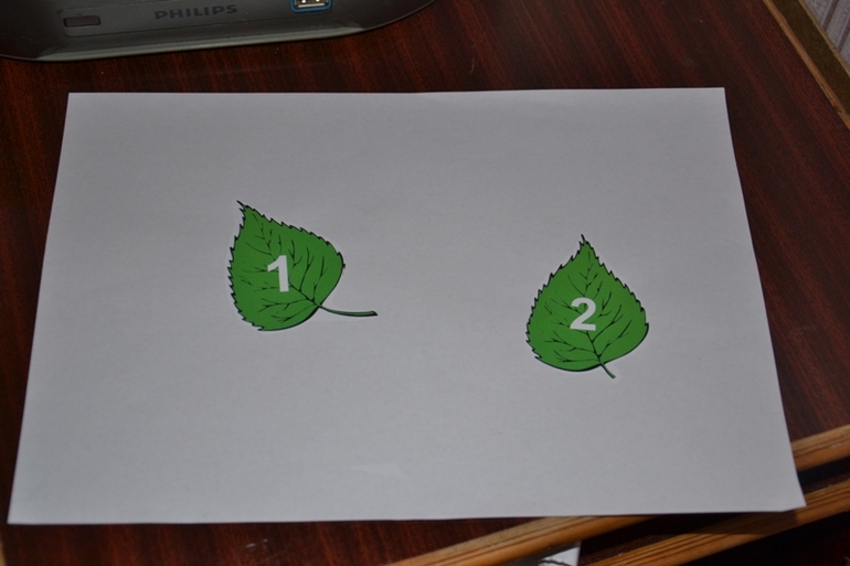 Занятие Бабочка от 1 до 2 лет