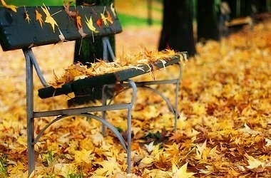 Не с кем гулять