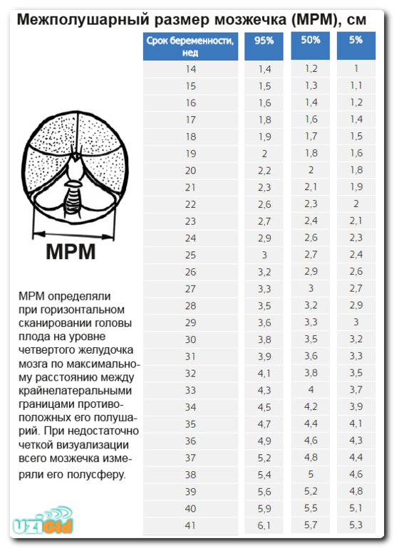 Диагностическое скрининговое УЗИ при беременности: 1, 2 и 3 скрининги